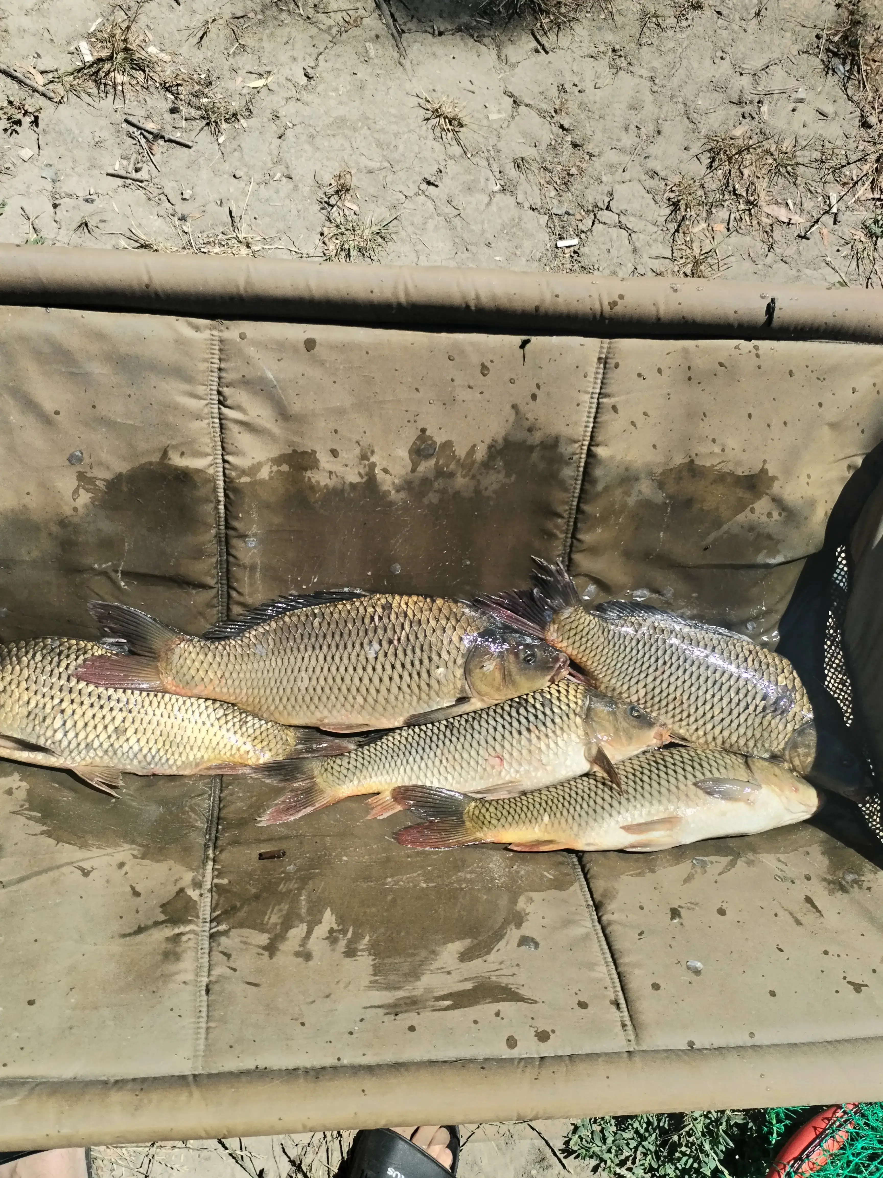 Del aria Fishing
